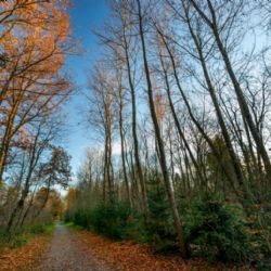 Národní park promarněných příležitostí