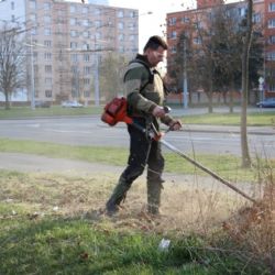 Neumíme se domluvit? V Plzni sekal trávu místostarosta