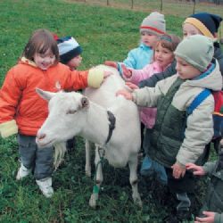 Neziskovky v kraji mají svého nového radního Šobra