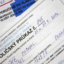 Obvody v Plzni ve čtvrtek přijímají žádosti o voličské průkazy