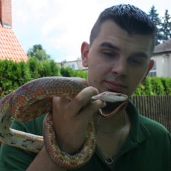 Ochranáři z Rokycan hledají majitele zatoulané užovky