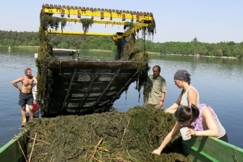 Foto: Odborníci zkoumali rybníky: Bolevák je bez motolic