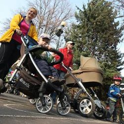 Plzeň, Nýrsko a Stod přivítají v neděli závody kočárků