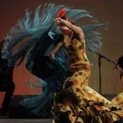 Plzeň od půlky května hostí festival Mediterránea Pilsen