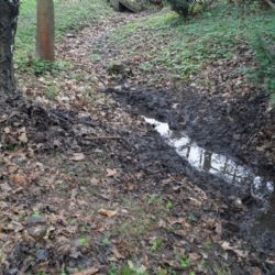 Plzeňští policisté prohledávali Borský park kvůli chemikáliím 