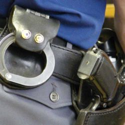 Policisté vyrazili na kontrolu honů