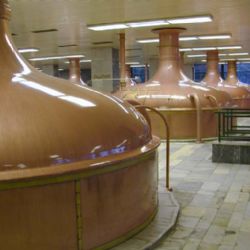 V Chodové Plané dnes otevírá první beerarium