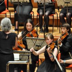 Špičkové studentské orchestry z Británie vystoupí v Plzni