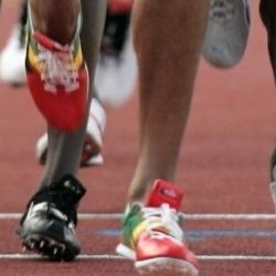 Sportovní gymnázium se má stěhovat ze Slovan na Skvrňany
