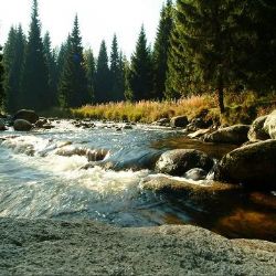 Správa NP a CHKO Šumava znovu začíná prodávat nepotřebné nemovitosti 