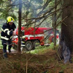 Strážci Šumavy hasili u Dobré Vody požár po zásahu blesku