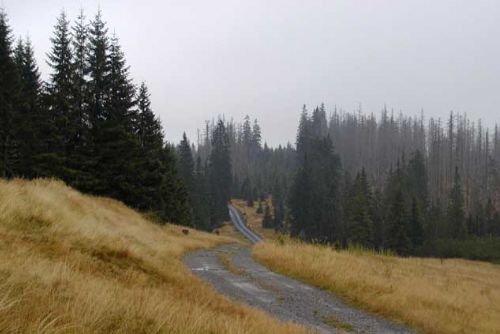 Foto: Šumavu s Bavorským lesem spojí více cest