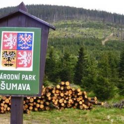 Šumava zve na Putování za skřítky i pstruhovou líheň