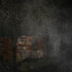 V Draženově shořela voliéra, uhynuli tři papoušci