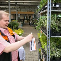 V květináčích v OBI na Borech hnízdí rodinka kosů