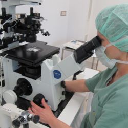 V Plzni-Černicích vzniklo nové centrum léby neplodnosti