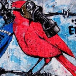 V Plzni v pátek začíná Festival arabské kultury