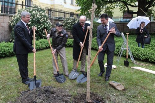 Foto: Váleční veteráni si v parku M. Horníčka zasadili vlastní strom 
