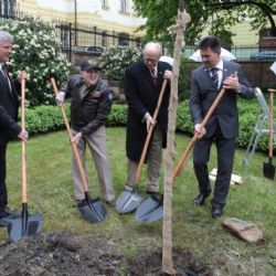 Váleční veteráni si v parku M. Horníčka zasadili vlastní strom 