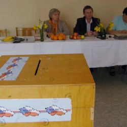 V Plzni se volí ve věznici i v nemocnici