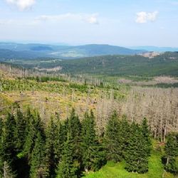 Vyjížďky v kočáře i zlatokopectví - Šumava v týdnu láká 