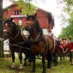 Železná Ruda zve na sobotní Rysí slavnosti