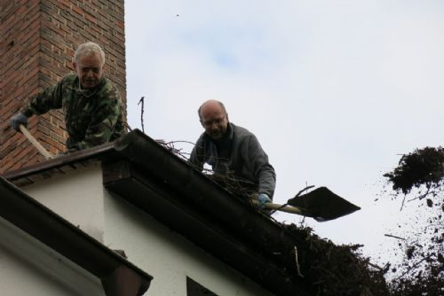 Foto: Zvířecí záchranáři rekonstruovali čapí hnízdo v Dobřanech
