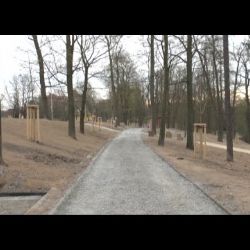 Nová zeleň za miliony oživí město Plzeň