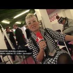 31.12.2014 / Plzeň pod lupou - Rok 2014