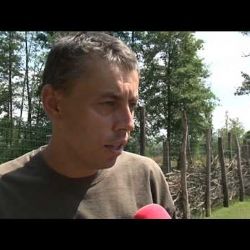 Zoo Plzeň chová několik druhů antilop