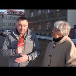 Ozvěny kubismu v plzeňské architektuře