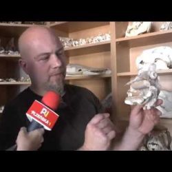 Doma má na dva tisíce lebek