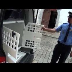 Strážníci v Plzni mají nový vůz na odchyt zvířat, službu poskytují už deset let