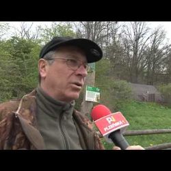 Pětice vlčat se má v plzeňské ZOO k světu!