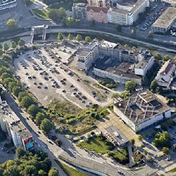 Nová čtvrť Plzně čelí zpoždění kvůli soudnímu verdiktu o kácení stromů