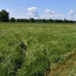 Nová cyklostezka v Plzni - gondolový most a trasa bez kopců