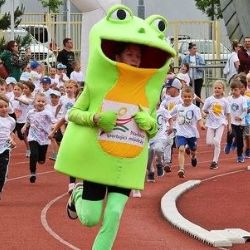 Plzeň hostila finále Sportovních her MŠ - vítězem je 91. MŠ