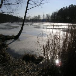 Plzeň vyčistí Malý Bolevecký rybník, bude i ke koupání