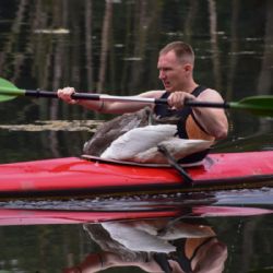 Vetřelci vyhnali labutí rodinu z Kolaříku