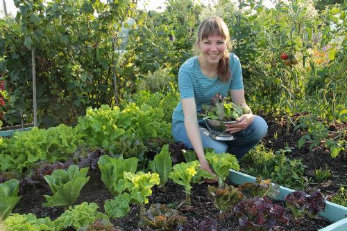 Obrázek - Lektorka žijící v Nizozemí představí netradiční pěstování zeleniny v mateřských školách