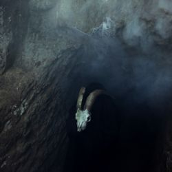 20.5. proběhne Putovní setkání fanoušků horroru v Plzni