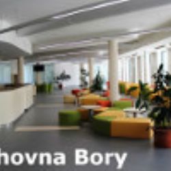Fanděte s námi! Přenosy z MS 2015