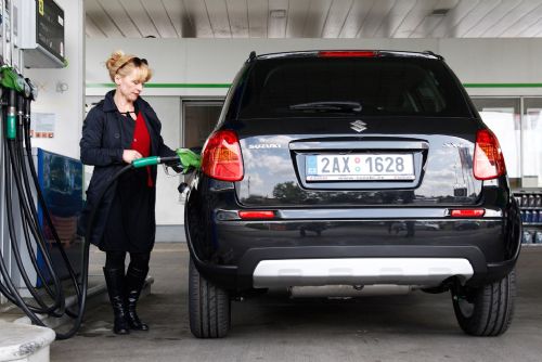 Obrázek - Herečka Dana Batulková miluje svou Suzuki SX4 s benzínovým motorem 1.6 VVT a pohonem všech kol 4×4