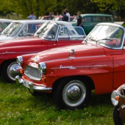 K areálu Škodaland v Plzni na Borech se sjela stovka automobilů