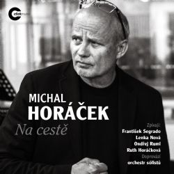 Koncert Michala Horáčka v Plzni