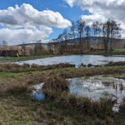 Nové biocentrum Šibanov - oáza přírody a rekreace na Domažlicku