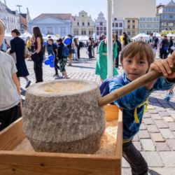 Robotický pes a vlak na myšlenky baví Plzeň