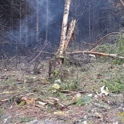 Tragédie na Plzeňsku - havarované letadlo zachvátil požár, pilot zemřel