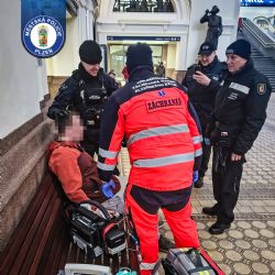 Bezvládný na nádraží v Plzni zachráněn městskou policií