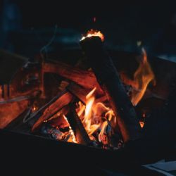 Město Plzeň bojuje s nelegálními ohništi u Šídlovského rybníka